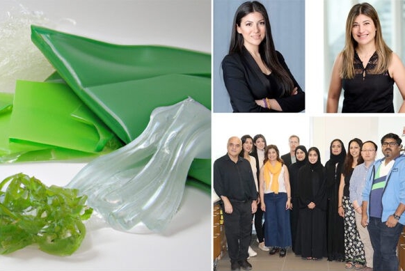 Bioplastics Research Published