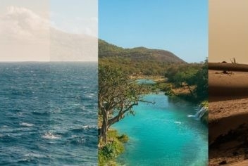 Uncovering the Secrets of the Gulf Ecosystem