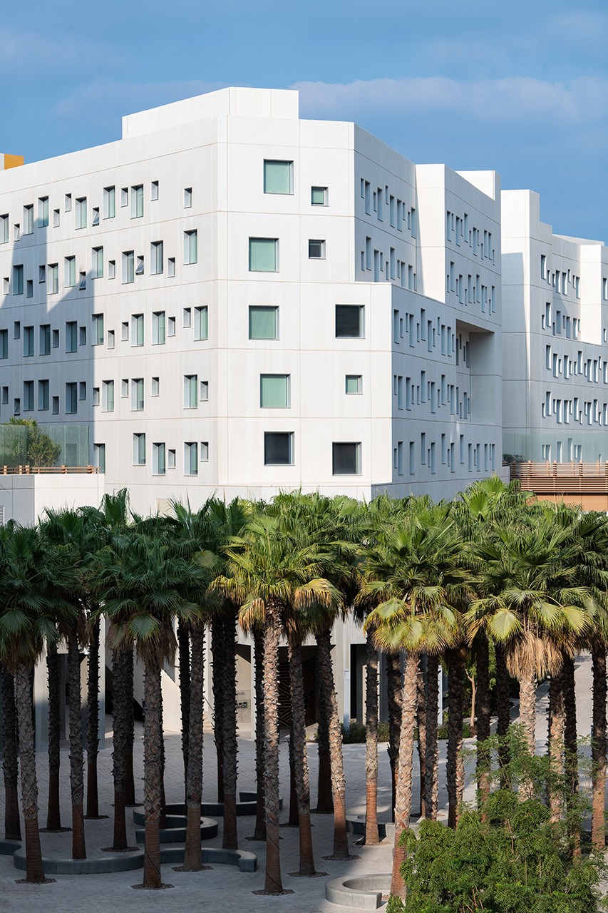 A view of  the NYUAD Campus Center with the palm trees of Central Plaza.