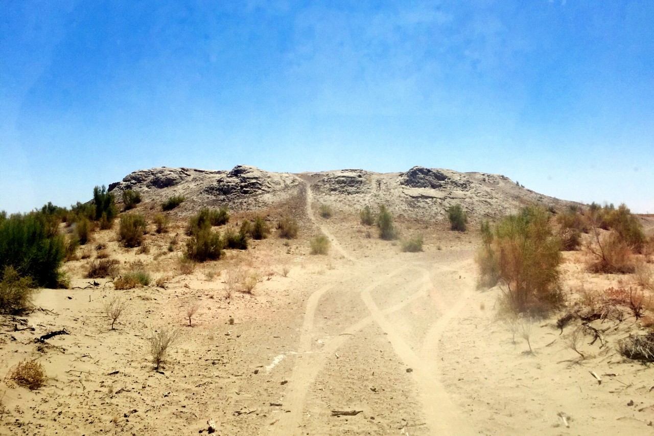 My Archaeology Internship in Uzbekistan: Journals From The Field