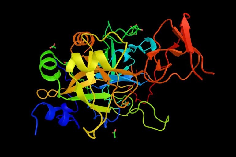 Natural Product Drug Discovery Symposium.jpg