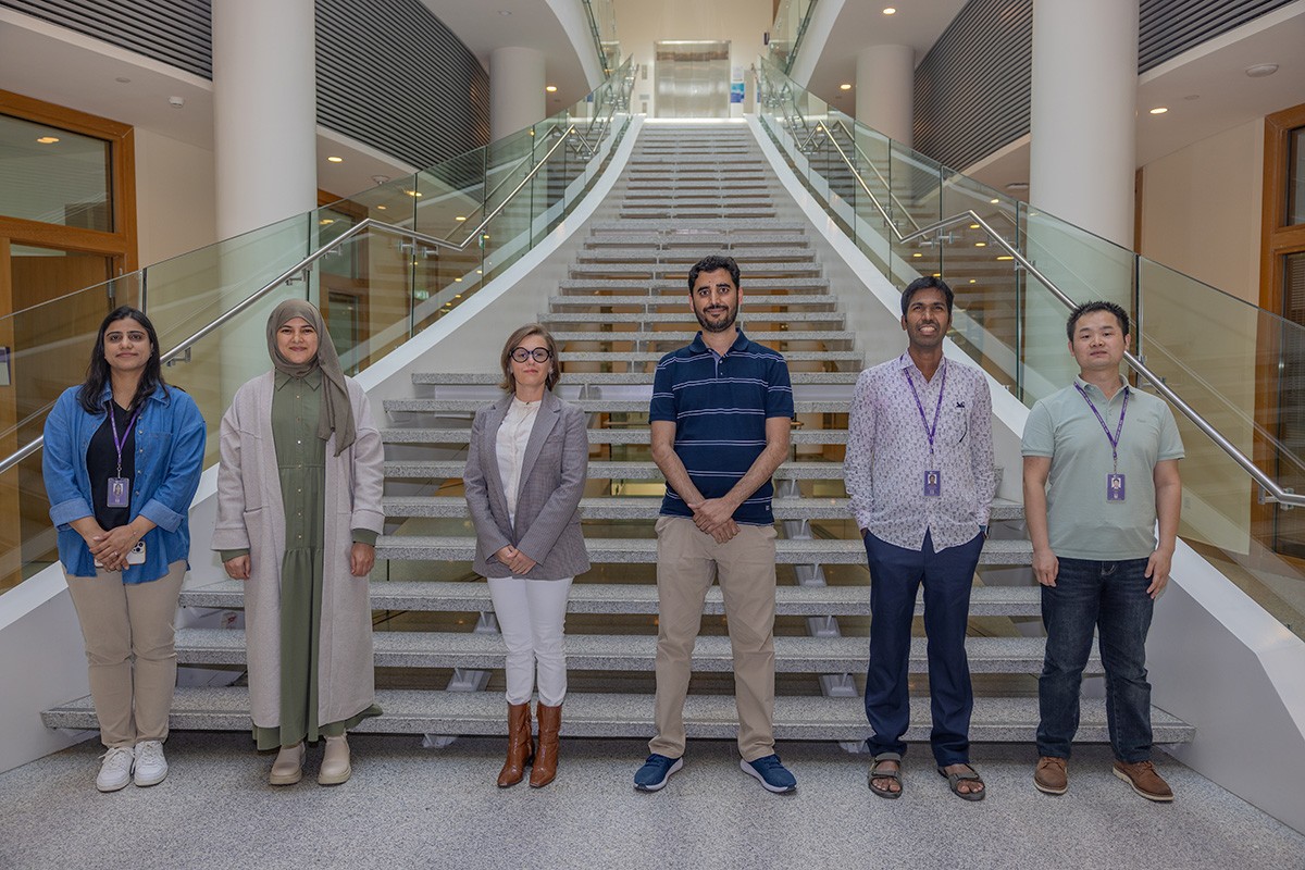 NYU Abu Dhabi Postdocs
