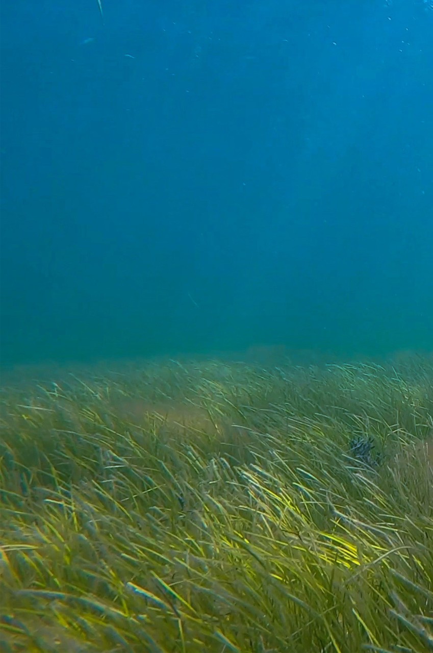 A Seabed of Discovery