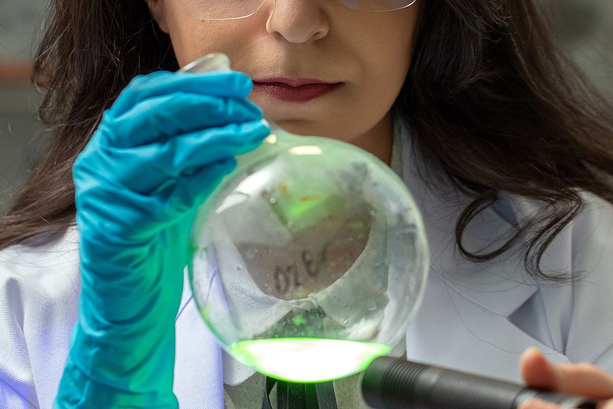 Center for Smart Engineering Materials